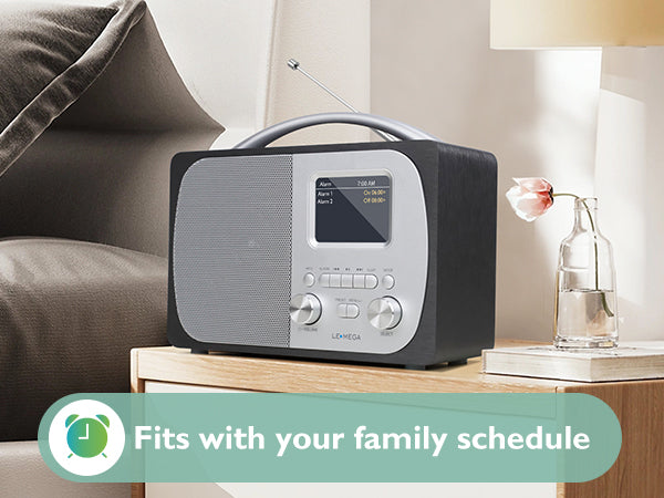 Lemega DR5 Portable DAB Radio with Bluetooth