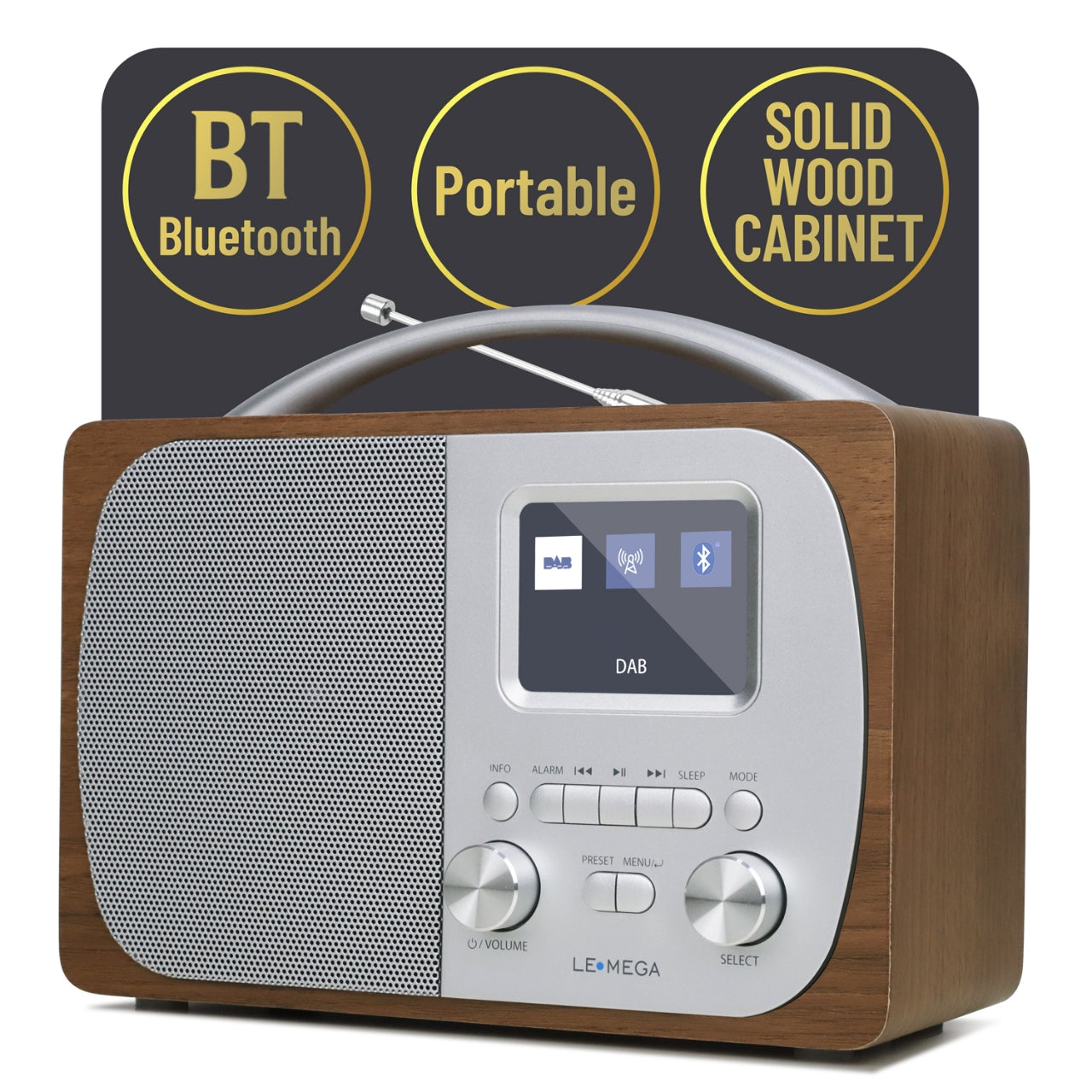 Lemega DR5 Portable DAB Radio with Bluetooth