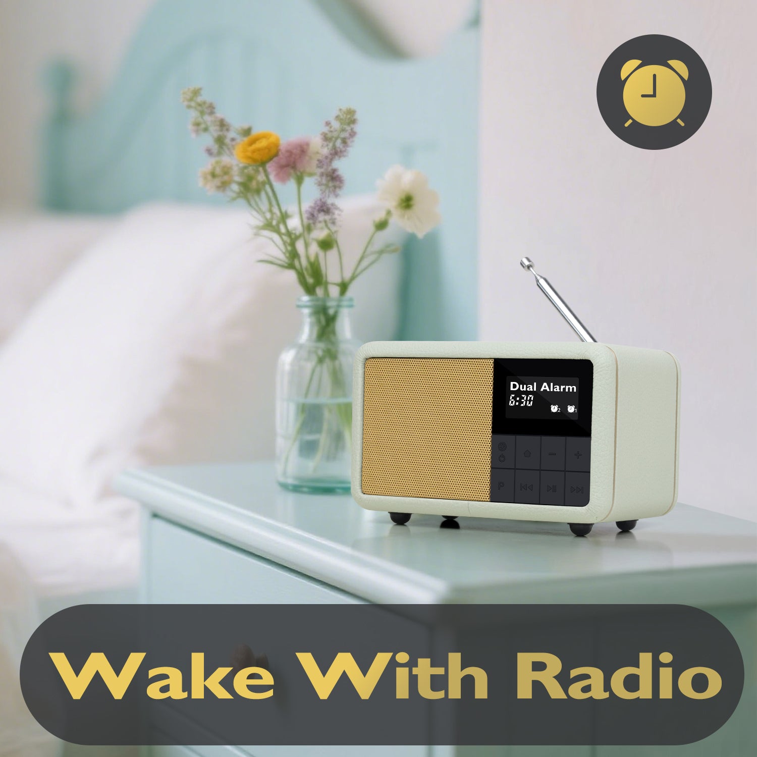 Lemega Class Compact Portable DAB Radio with Bluetooth