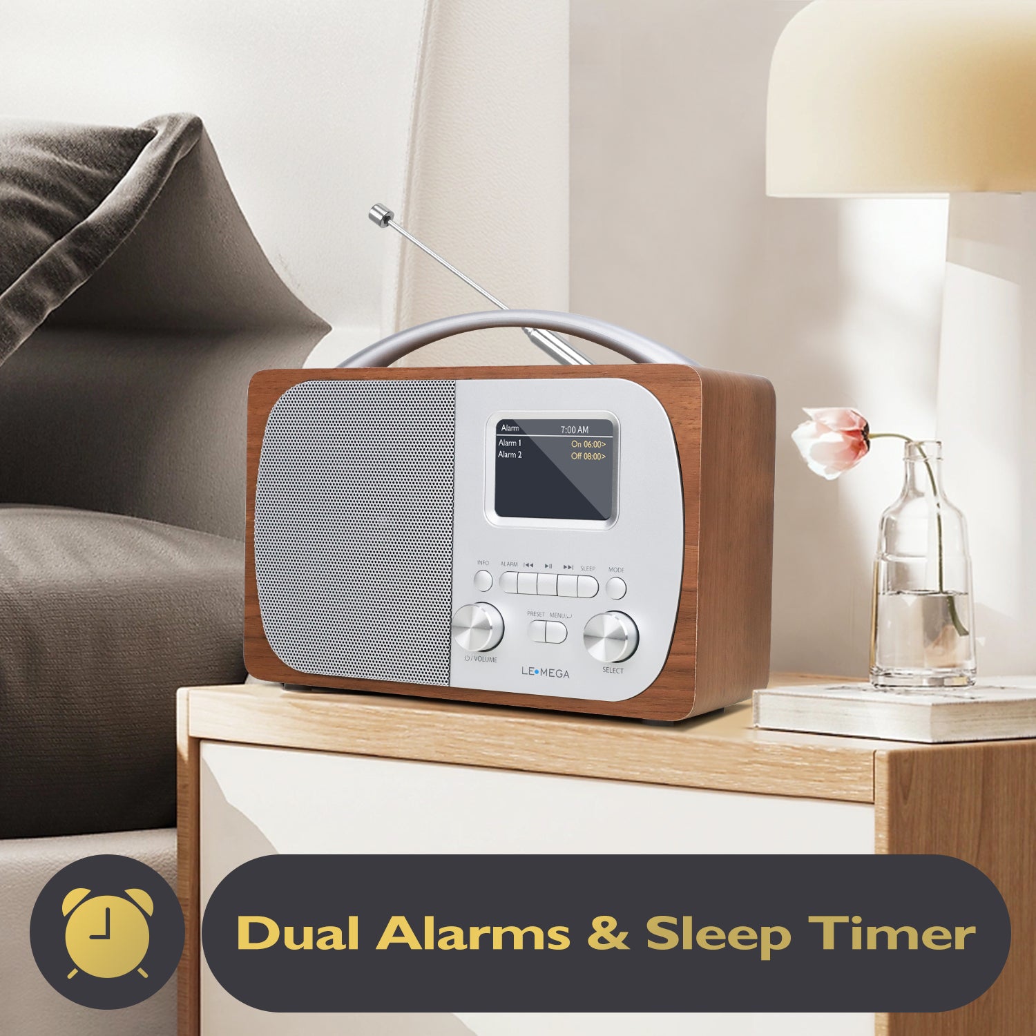 Lemega DR5 Portable DAB Radio with Bluetooth