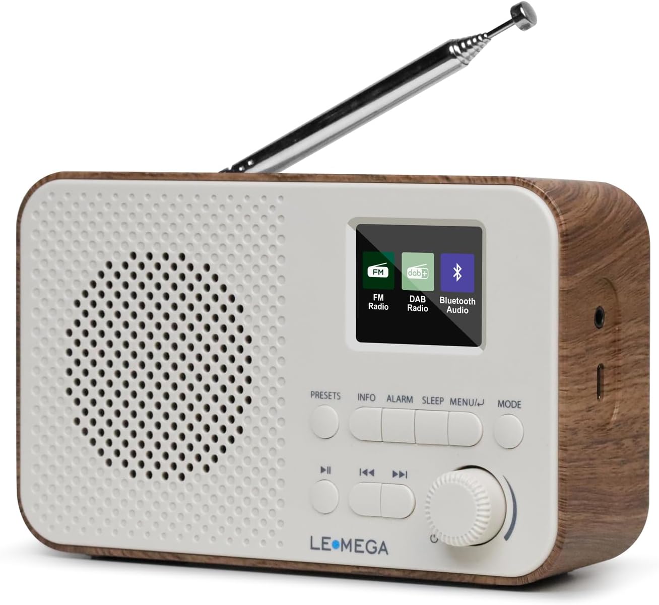 Lemega DAB GO Portable DAB Radio with Bluetooth