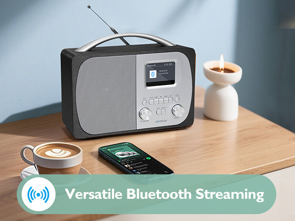 Lemega DR5 Portable DAB Radio with Bluetooth