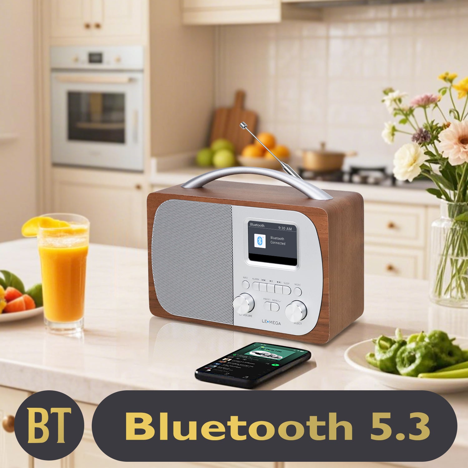 Lemega DR5 Portable DAB Radio with Bluetooth